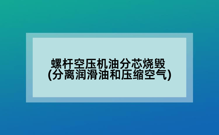 螺桿空壓機(jī)油分芯燒毀(分離潤滑油和壓縮空氣)